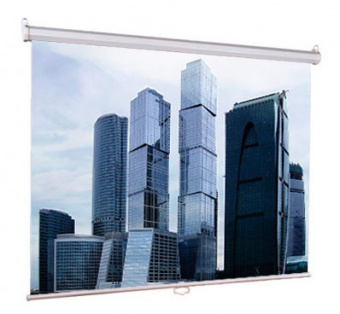 Экран Lumien 160x160см Eco Picture LEP-100105 1:1 настенно-потолочный рулонный - купить недорого с доставкой в интернет-магазине