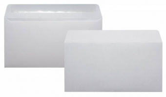 Конверт Buro 206 E65 110x220мм белый клеевой слой 80г/м2 (pack:1000pcs) - купить недорого с доставкой в интернет-магазине